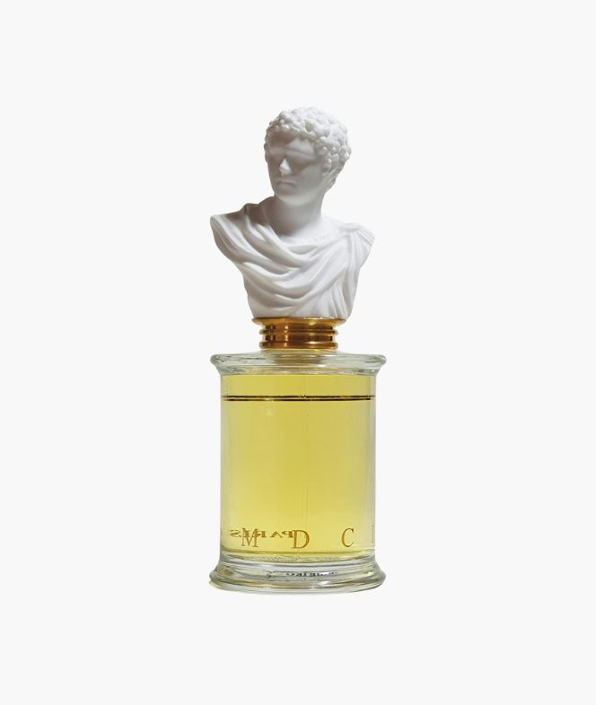 CUIR GARAMANTE BUSTE