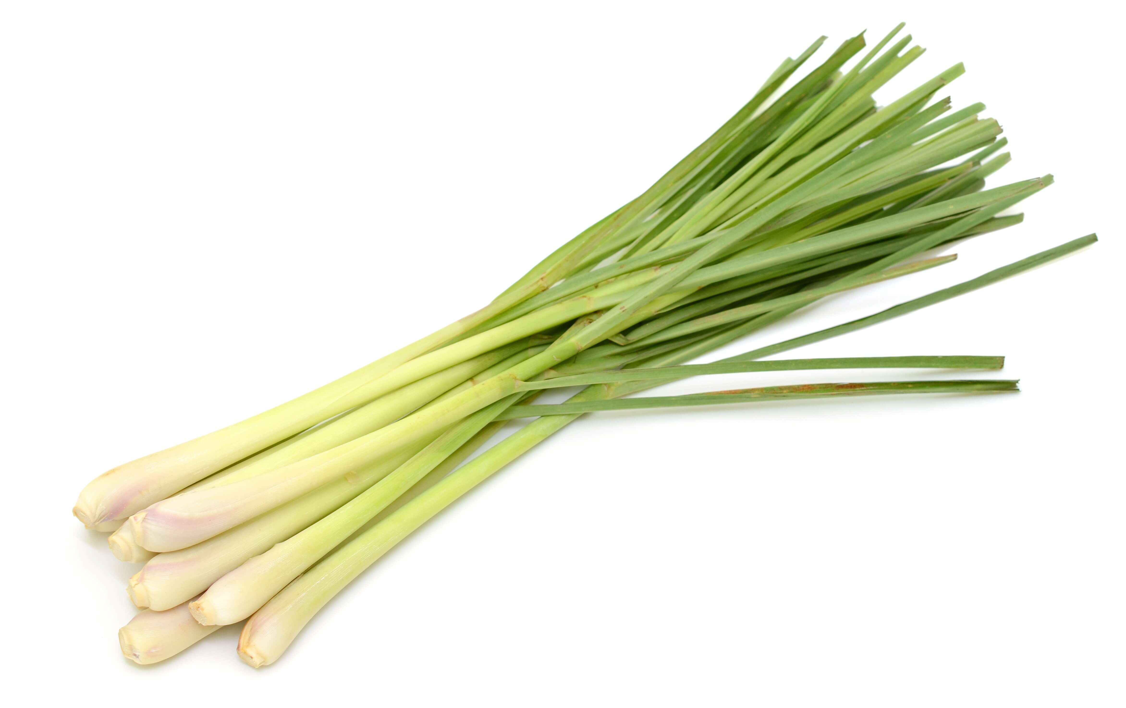 Lemongrass