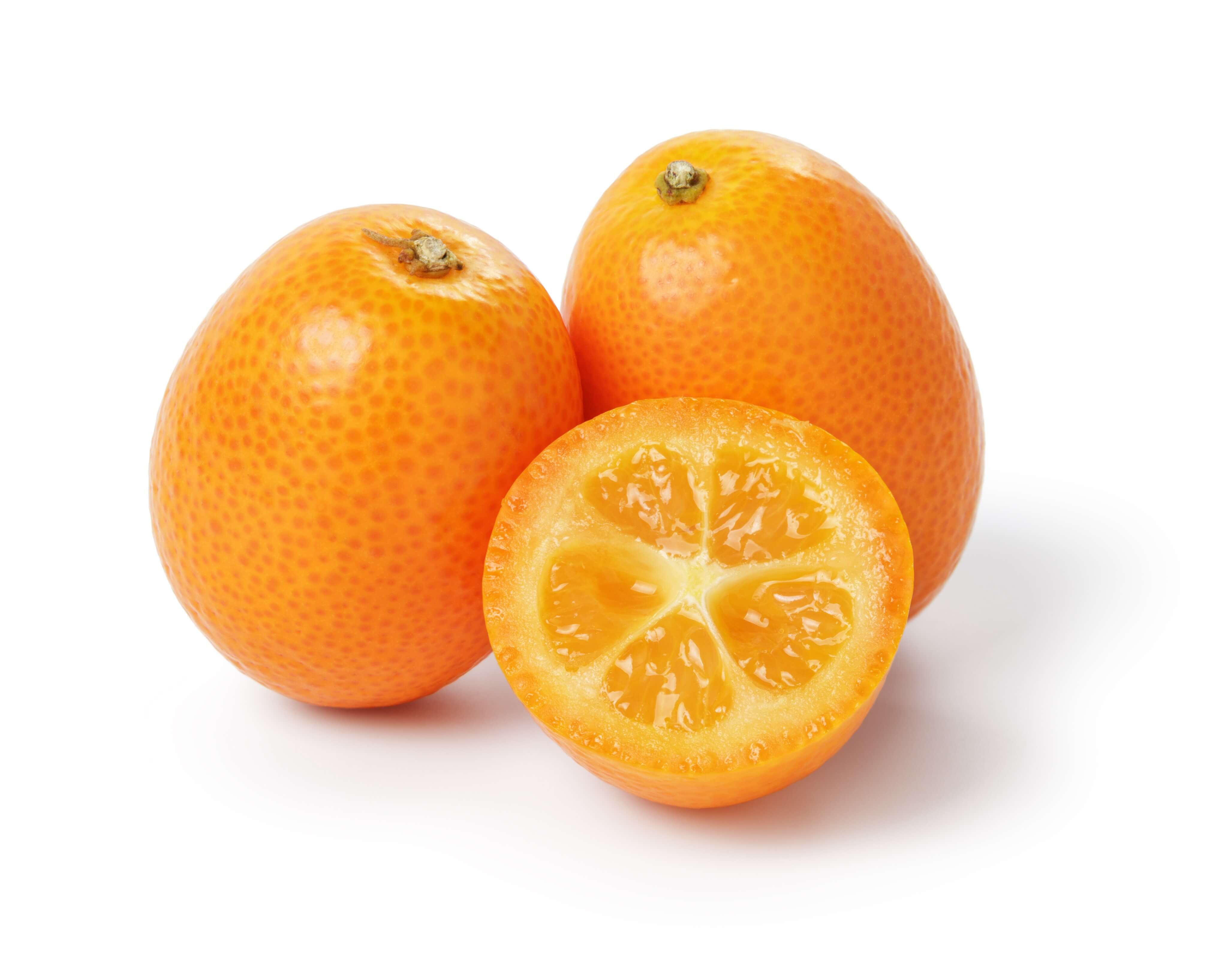 Kumquat