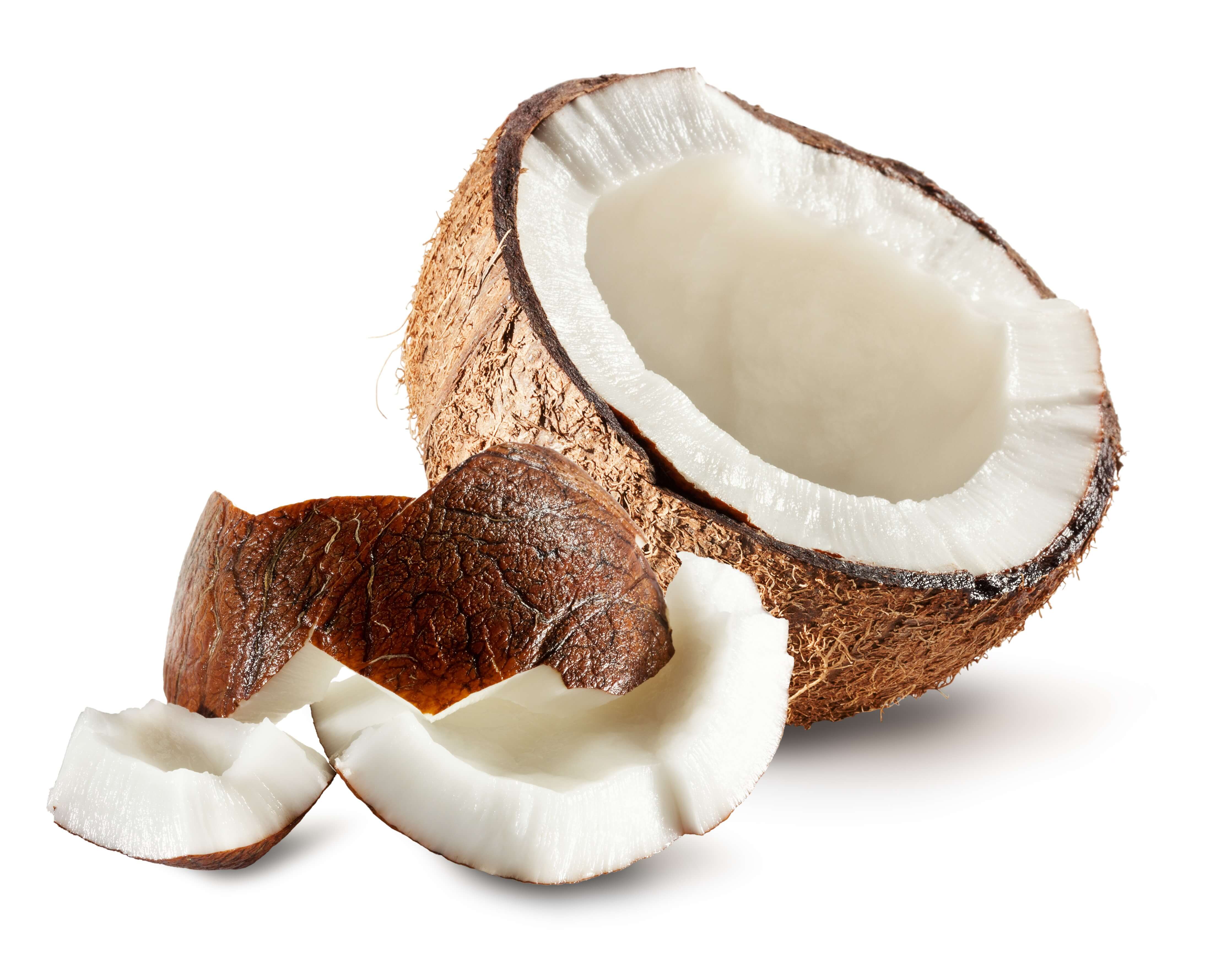 Coconut