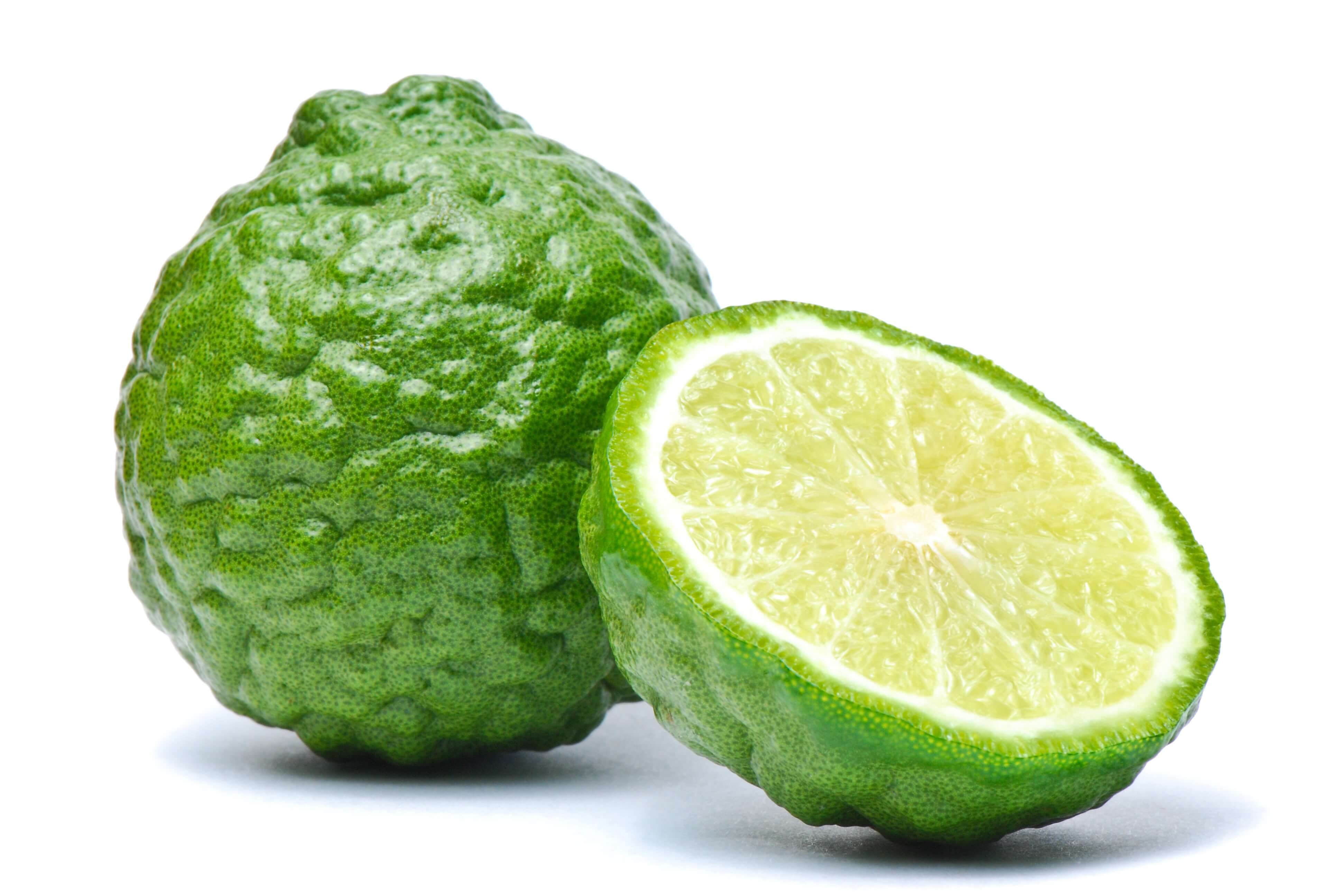 Bergamot