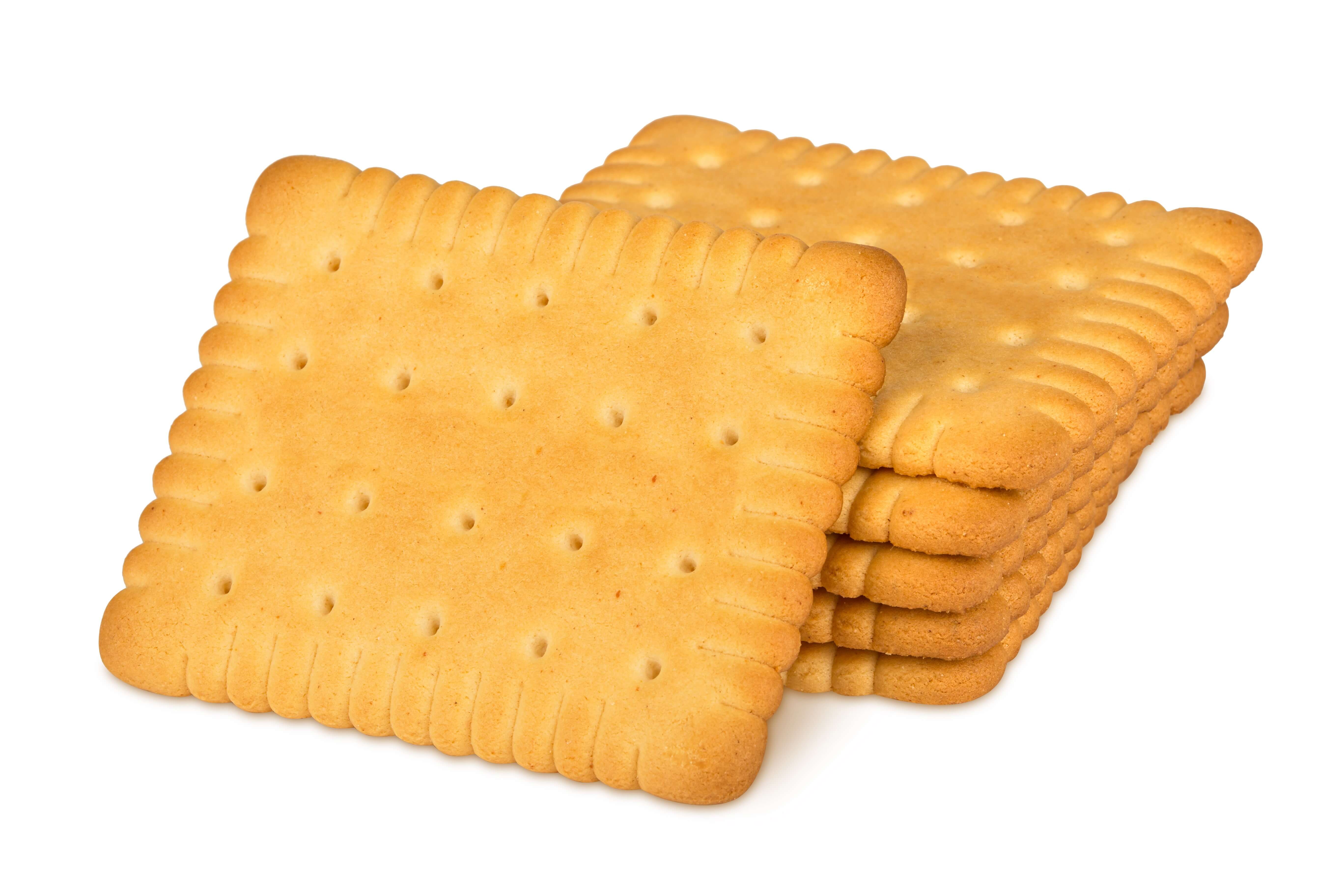 Biscuit